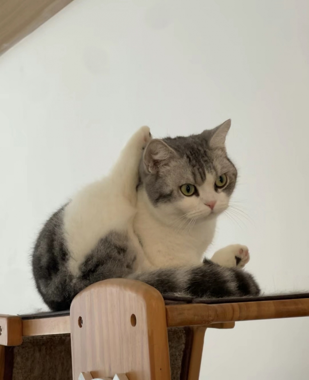 奴才：這一次真的有覺得你很厲害啦