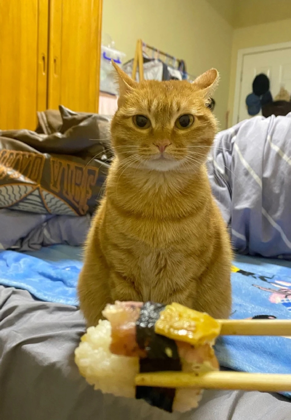 奴才：這個你不能吃欸