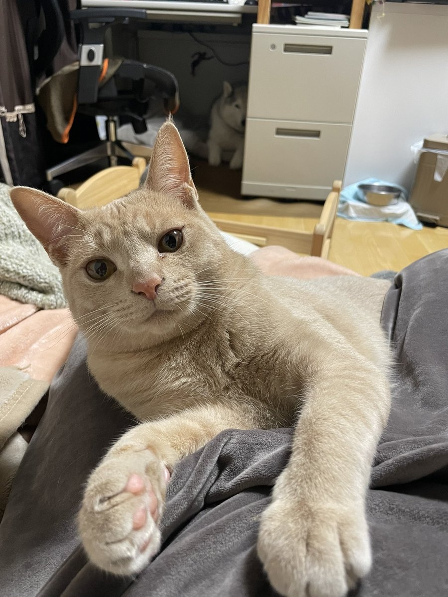 奴才：這是當然，難得收穫了你的肯定欸～