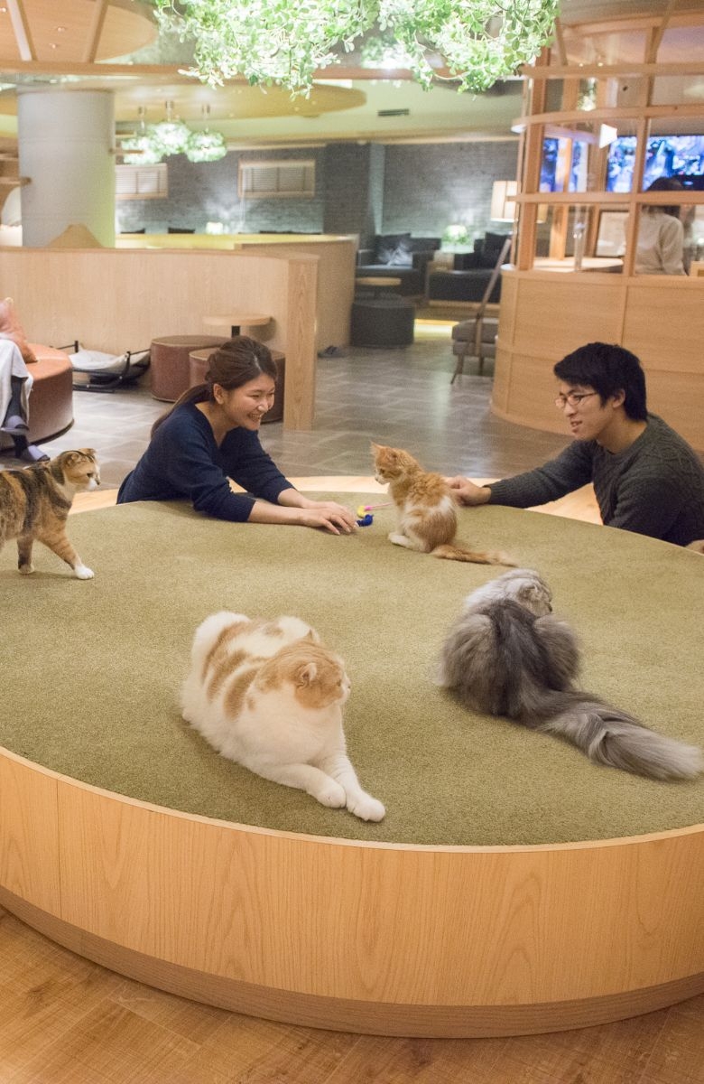 MOCHA Lounge 新宿店