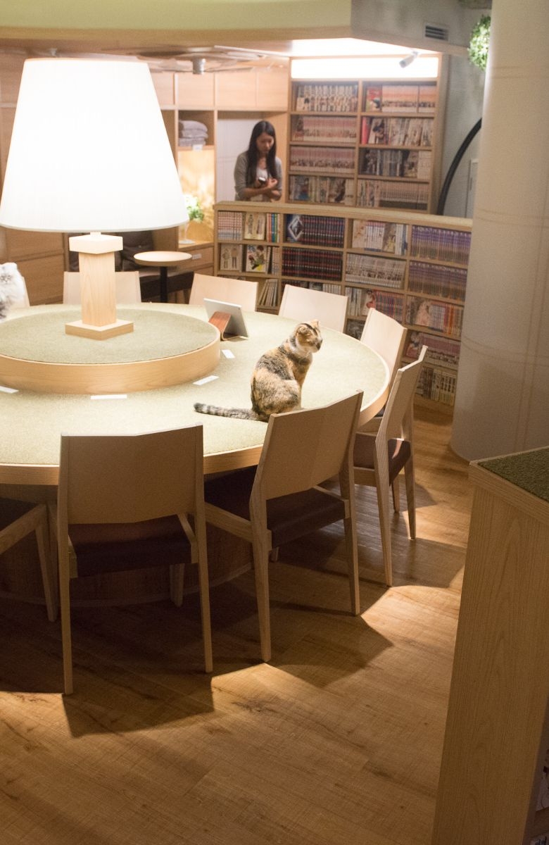 MOCHA Lounge 新宿店