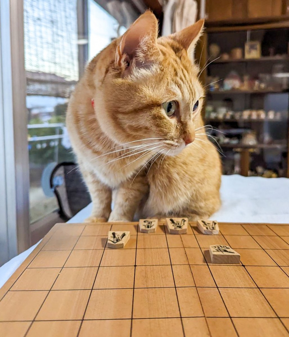 奴才：好怕怕！你要手下留情啊