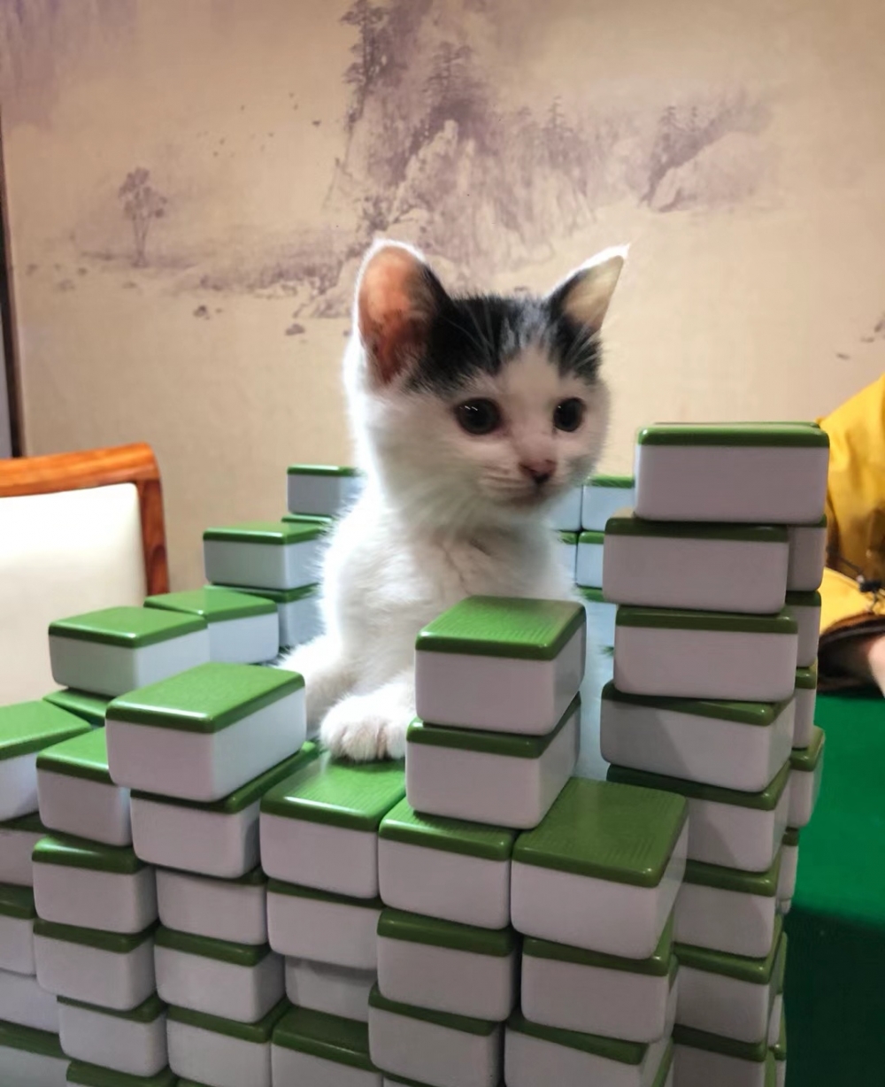 奴才:讓你體驗一下當公主的感覺~
