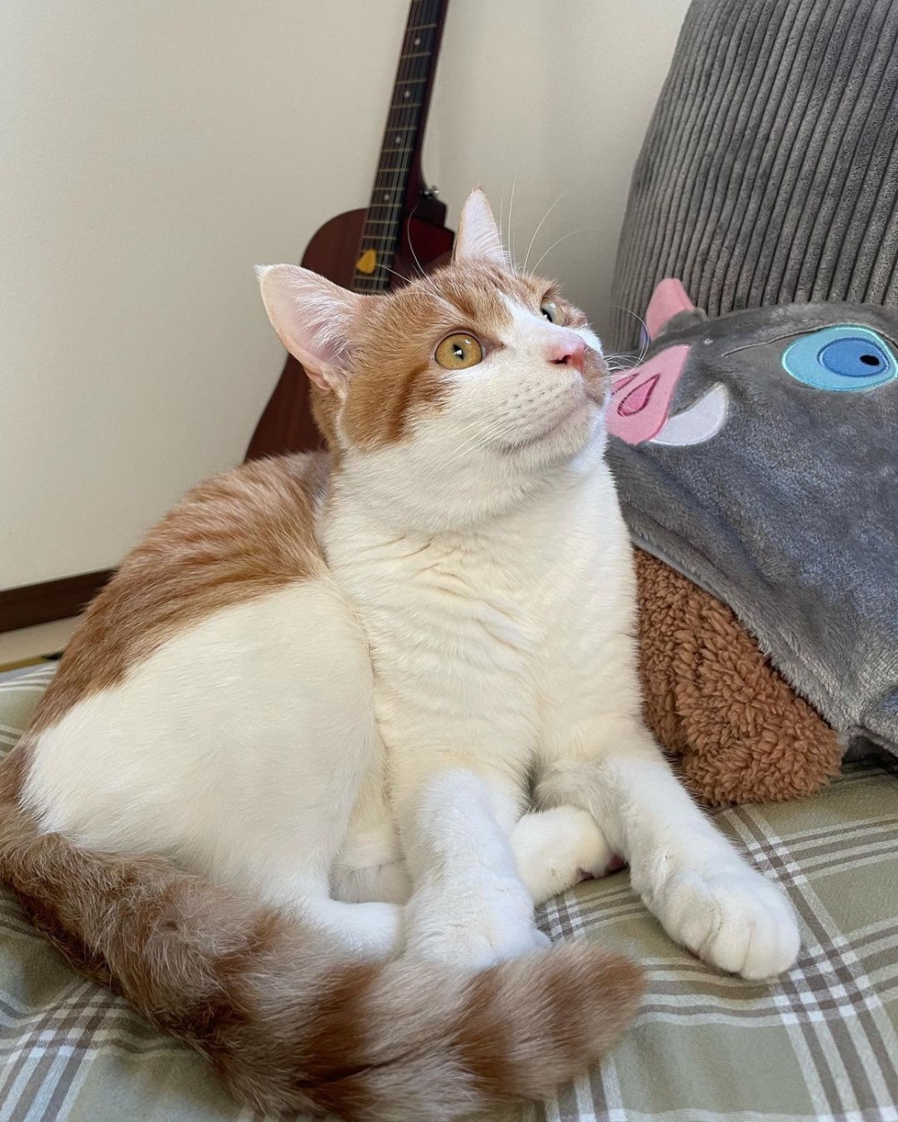 奴才：確實值得誇讚！