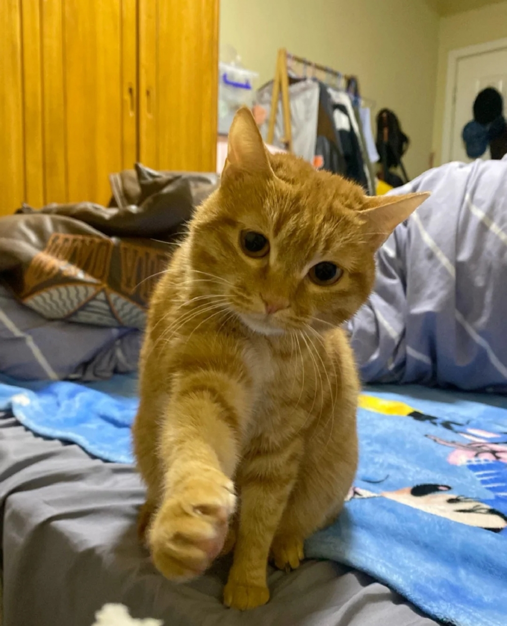 奴才：幹嘛這樣說人家喔