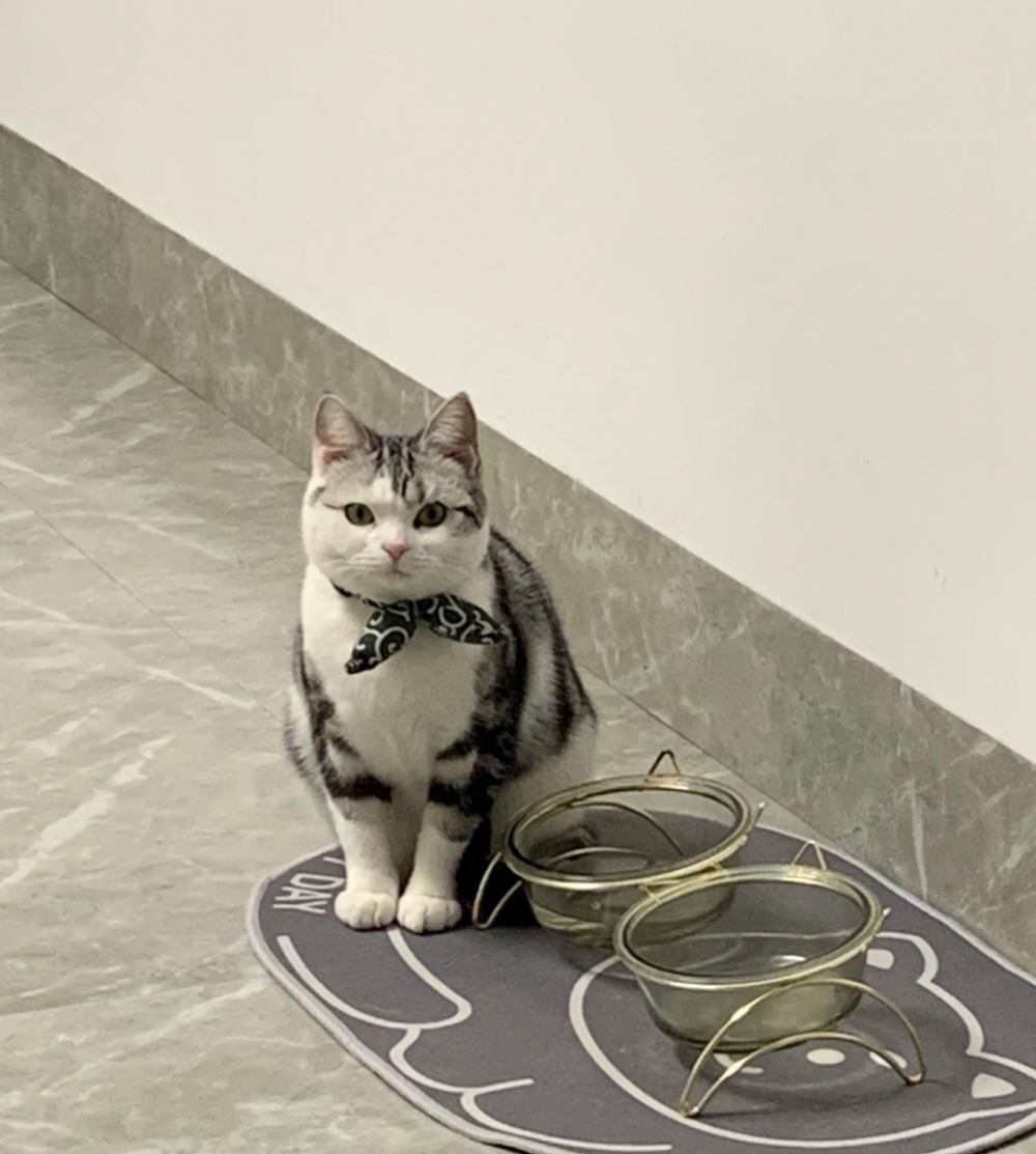 奴才：知道啦～過時餵飯囉