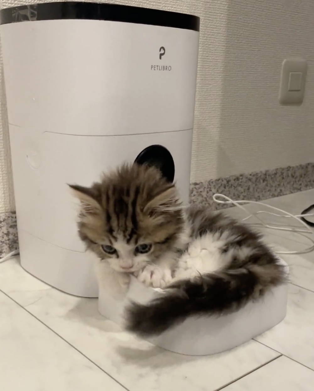 奴才：好吧，反正現在還不是餵食的時間