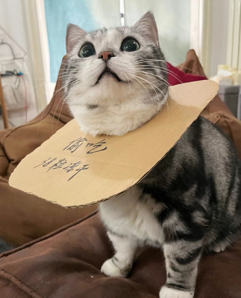 奴才：還真不覺得自己犯錯喔！