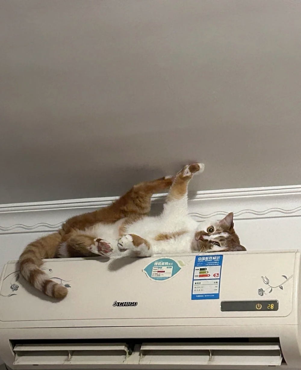 奴才：怕？怕什麼喔