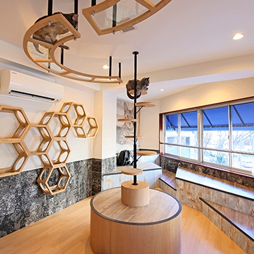 貓咖 空陸家 新宿三丁目店