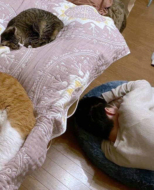 奴才:這真的很窄啦