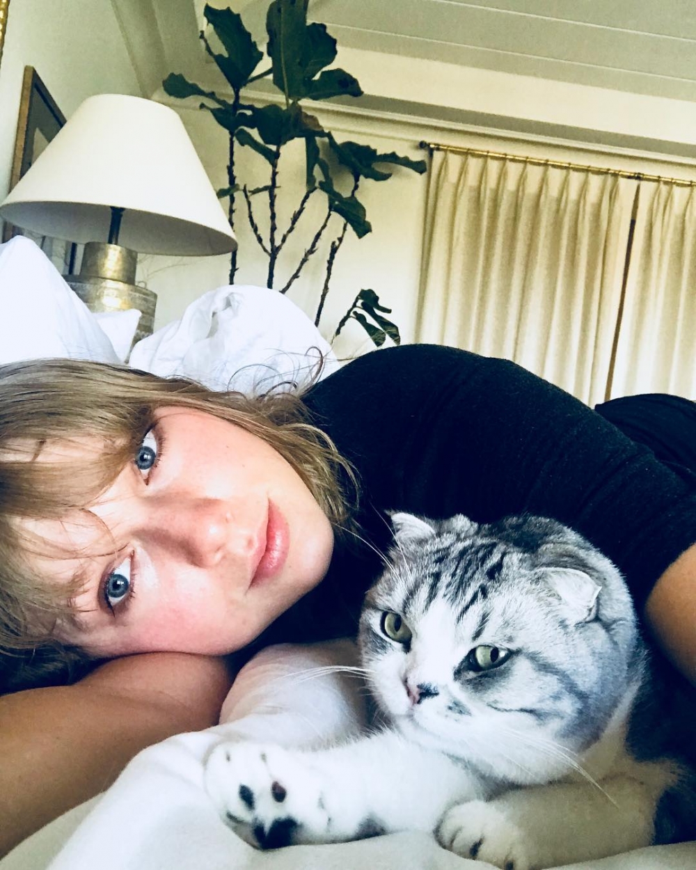 Taylor Swift與「Meredith Gray」