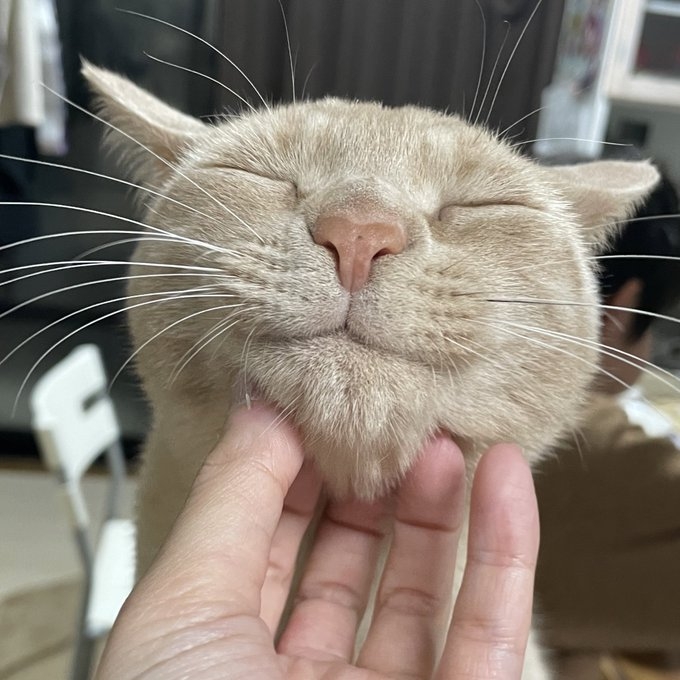 奴才：不言而喻就是在形容現在這個場景吧