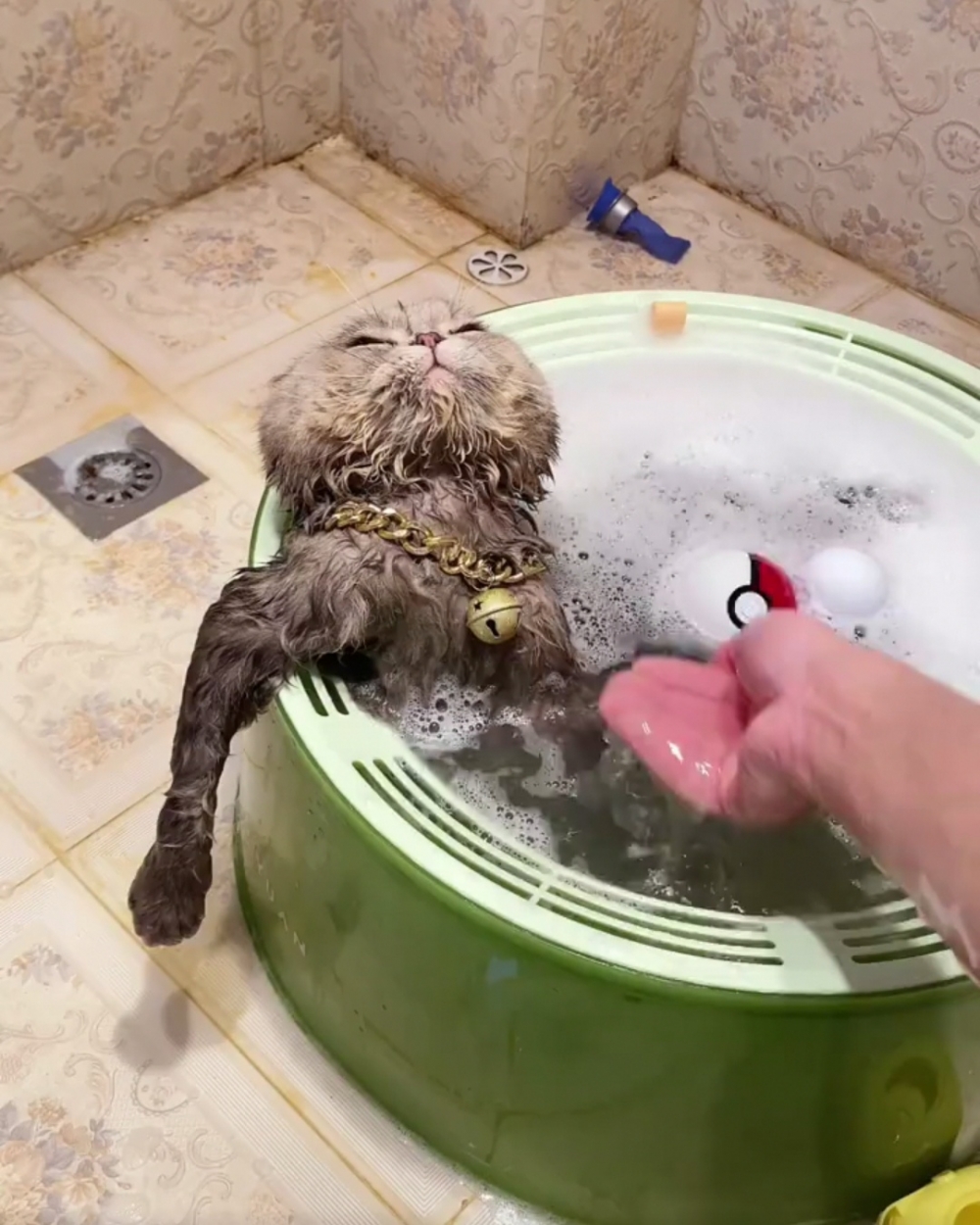 奴才：了解，記住了，下次再安排