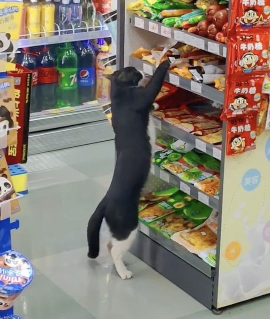 店員：你想幹嘛呢