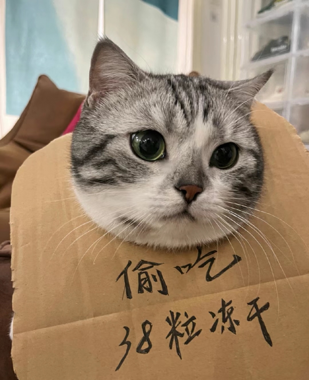 奴才：你現在處於弱勢，沒有說話的權利