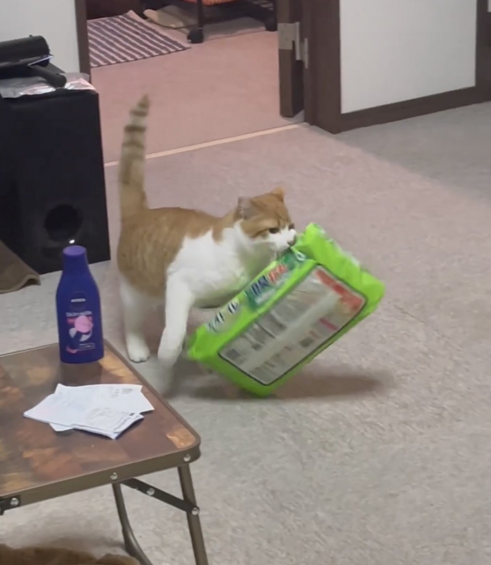 奴才：因為你平時搬的東西很輕啊