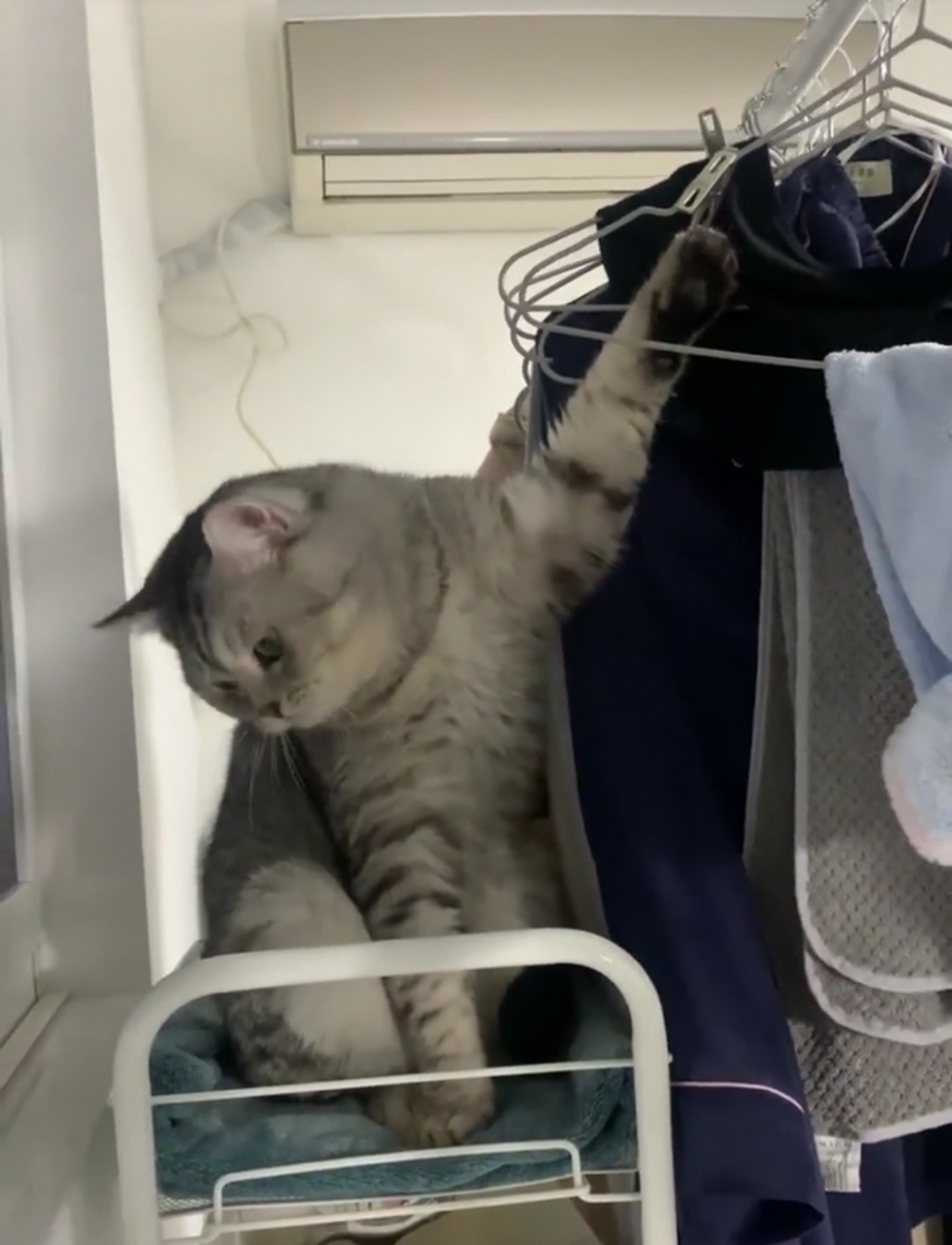 奴才：好啦！我來幫幫你吧