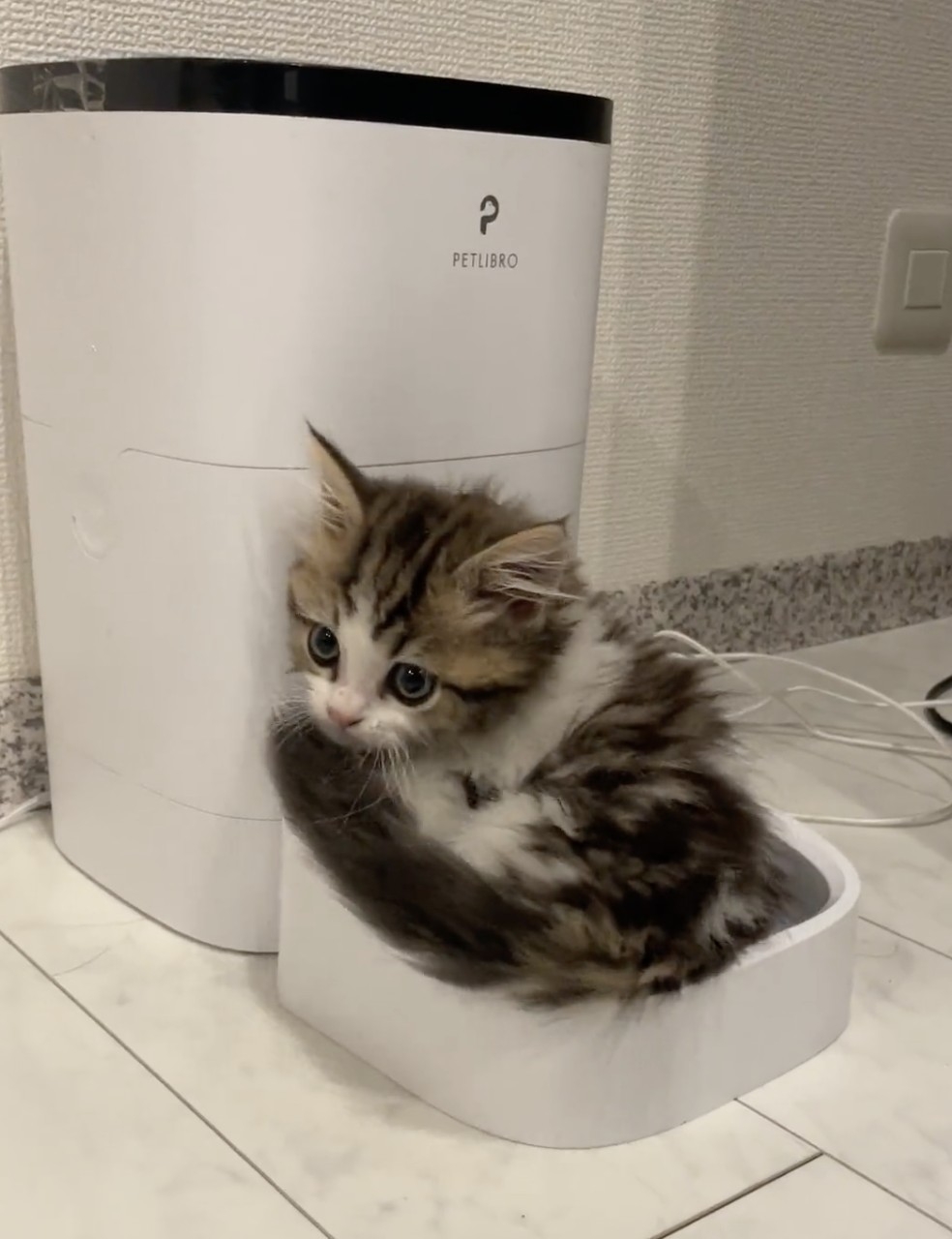 奴才：你不覺得自己很搞笑嗎？