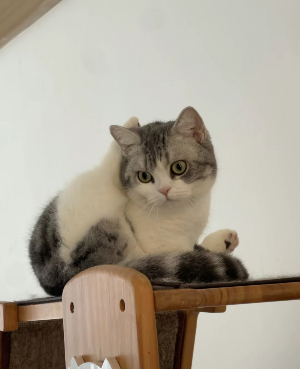 奴才：所有努力都值得啦～