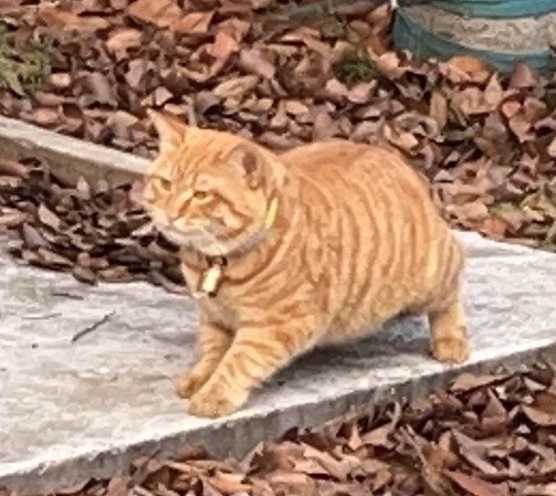 奴才：還好意思說出來喔～