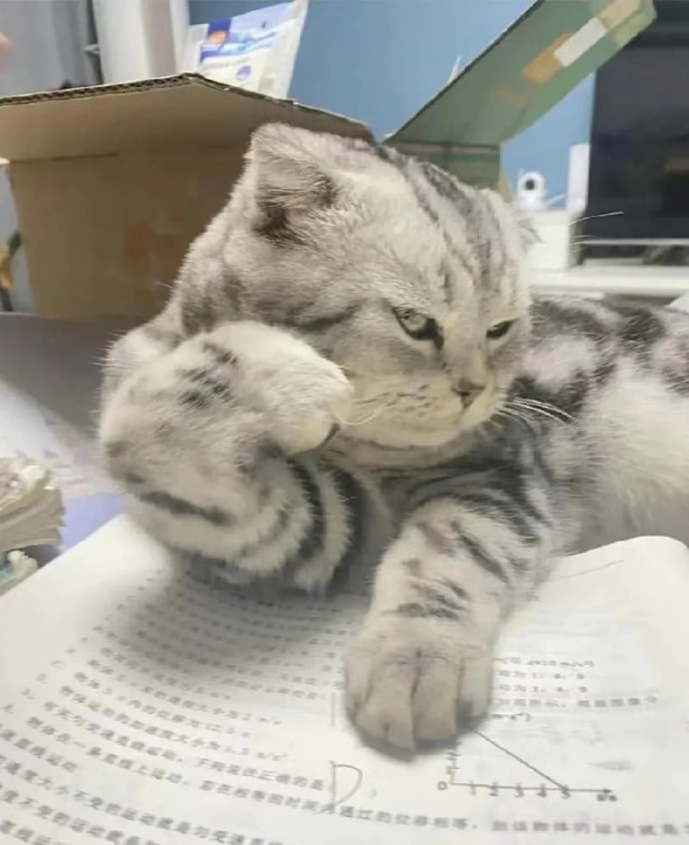 奴才:你沒吃錯藥吧~