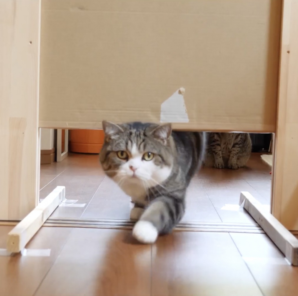 奴才：還挺輕鬆的嘛！