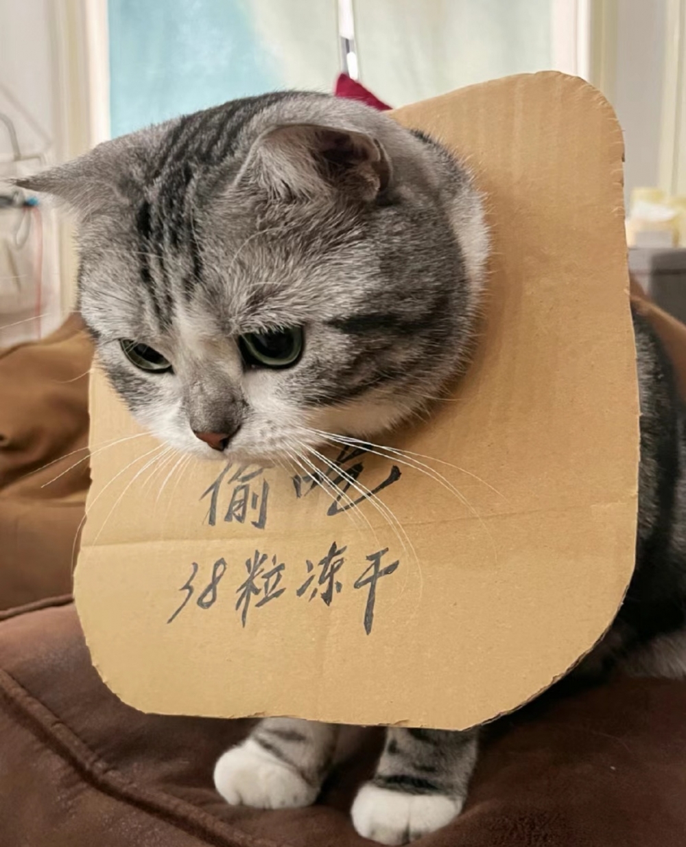 奴才：但是也吃太多了吧！