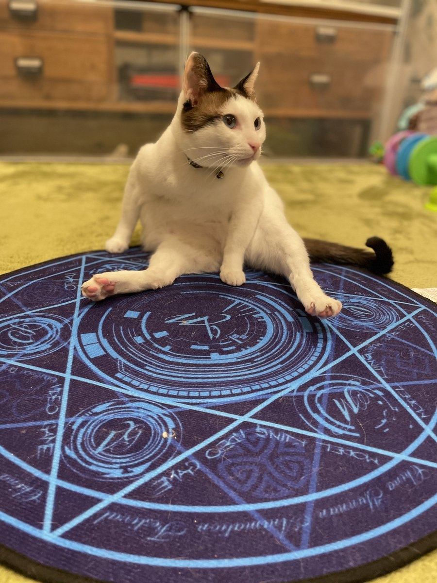 喵：那也好過沒有強啊！