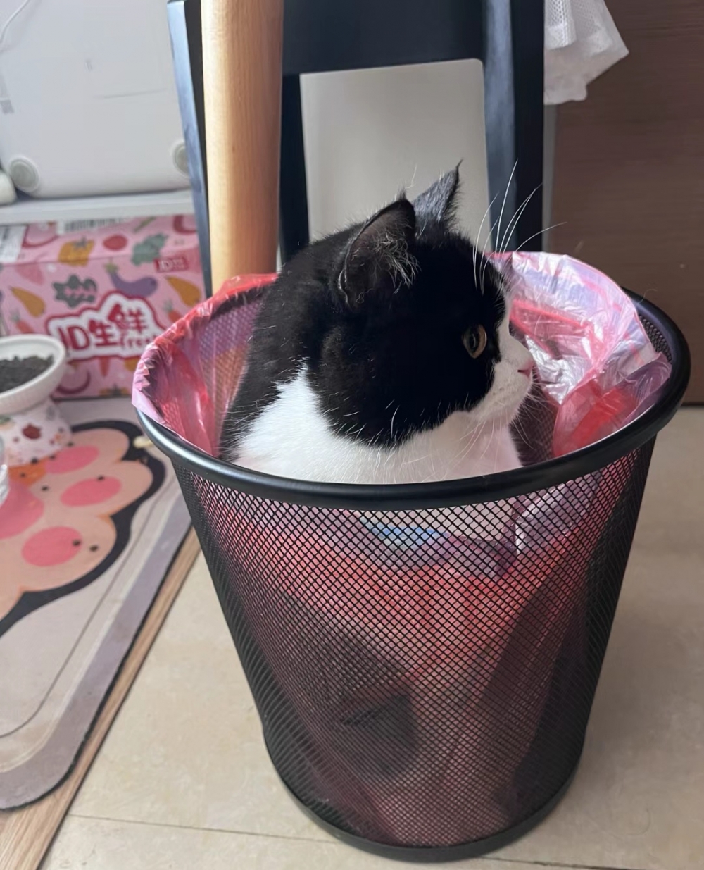 奴才：別生氣，我也沒說要趕你走