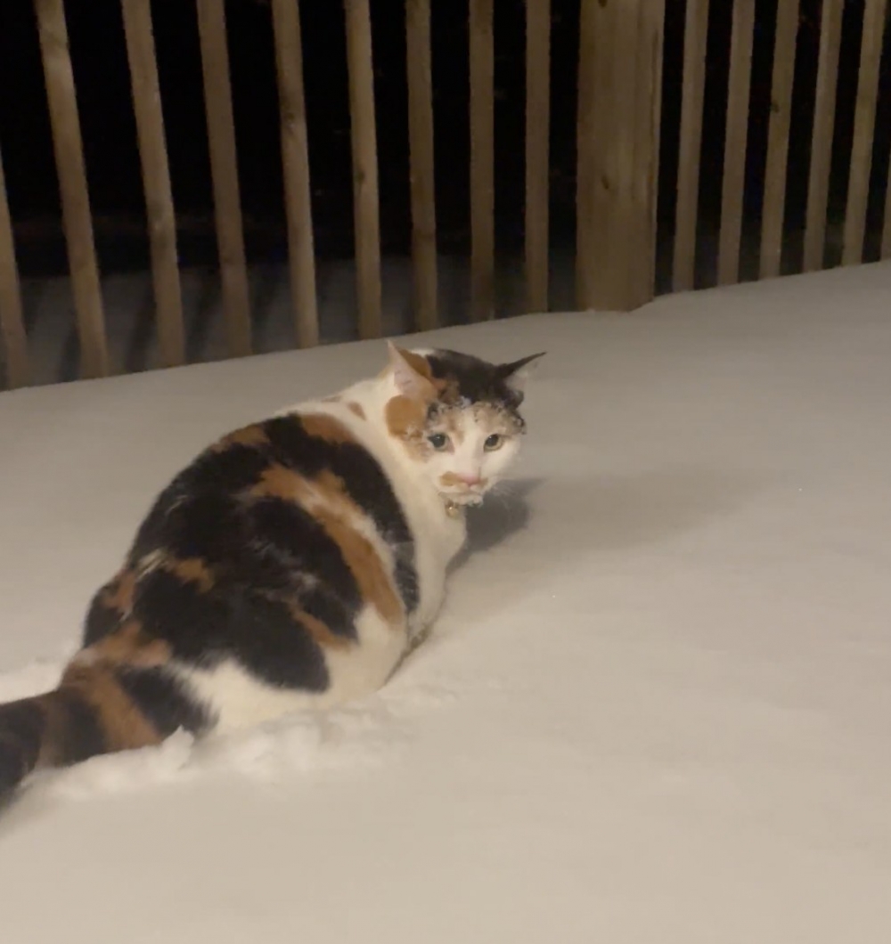 奴才：還是快進屋吧～