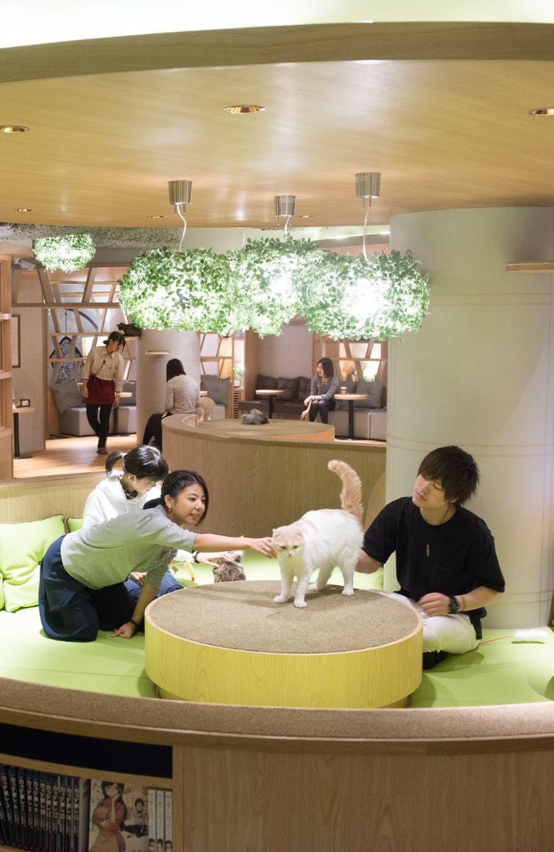 MOCHA Lounge 新宿店