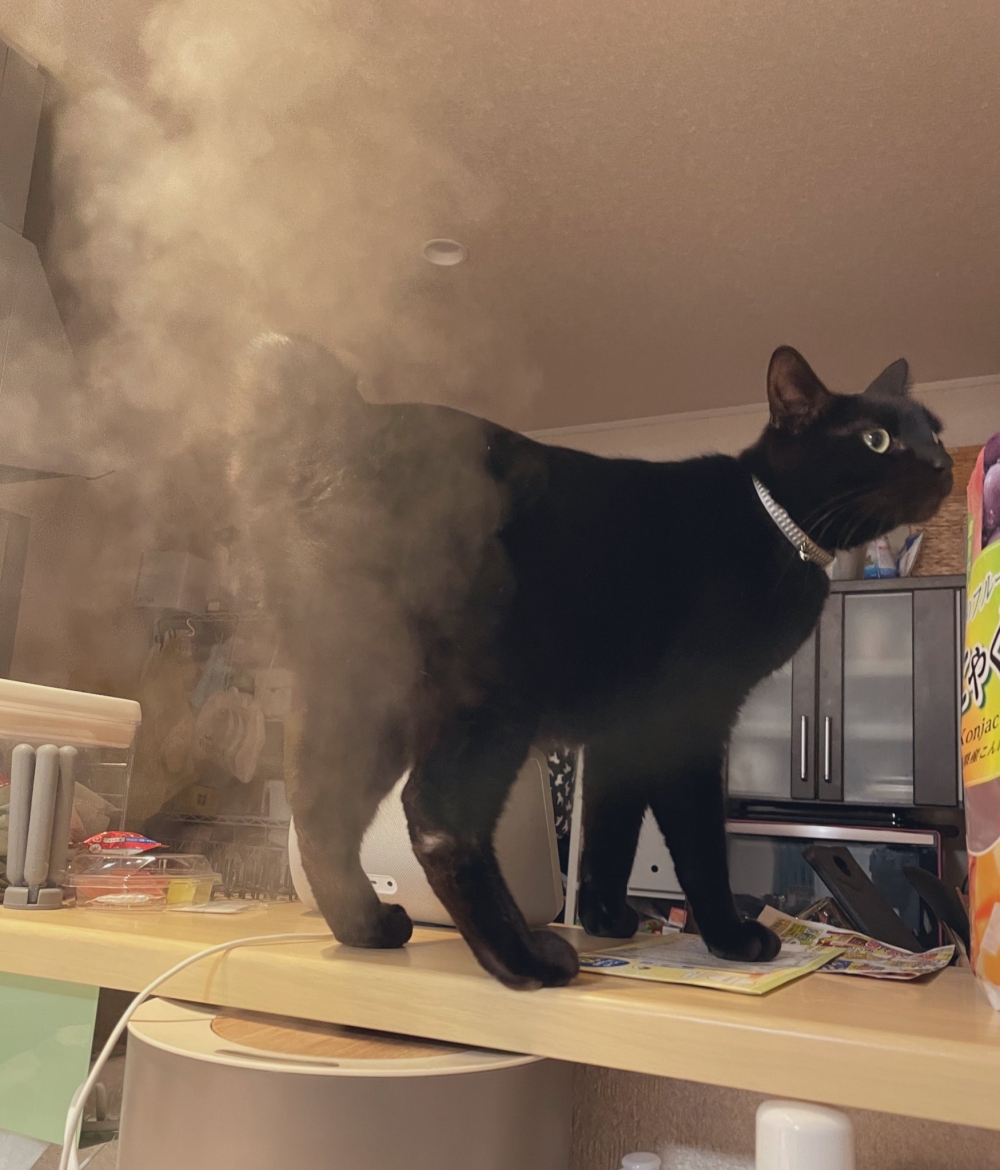 奴才：現在這樣真的很像你在放屁欸～