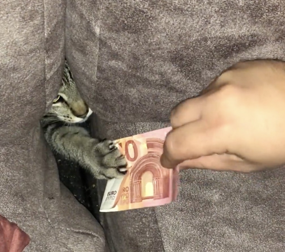 奴才:我的錢這麼會拿不起來?