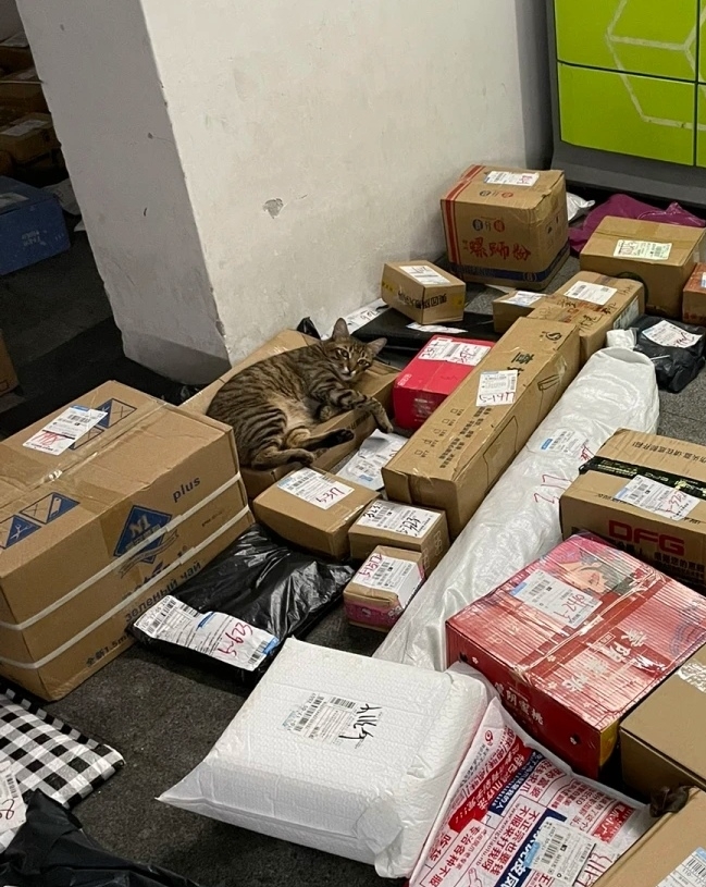 員工:那你讓一讓吧~