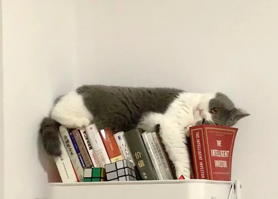 奴才:好啦,承認又被你可愛到了