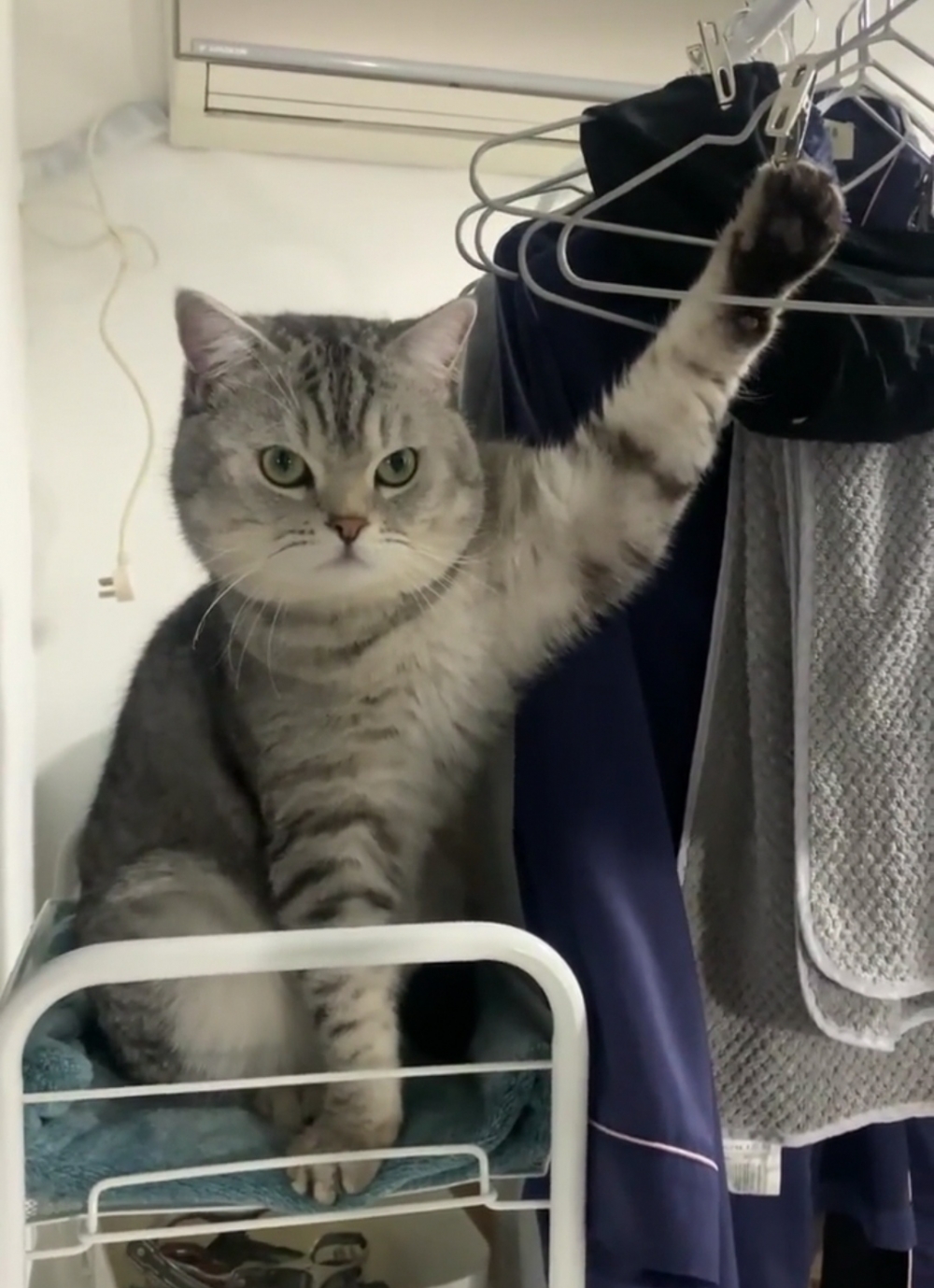 奴才：好可憐，你怎麼不出聲捏～