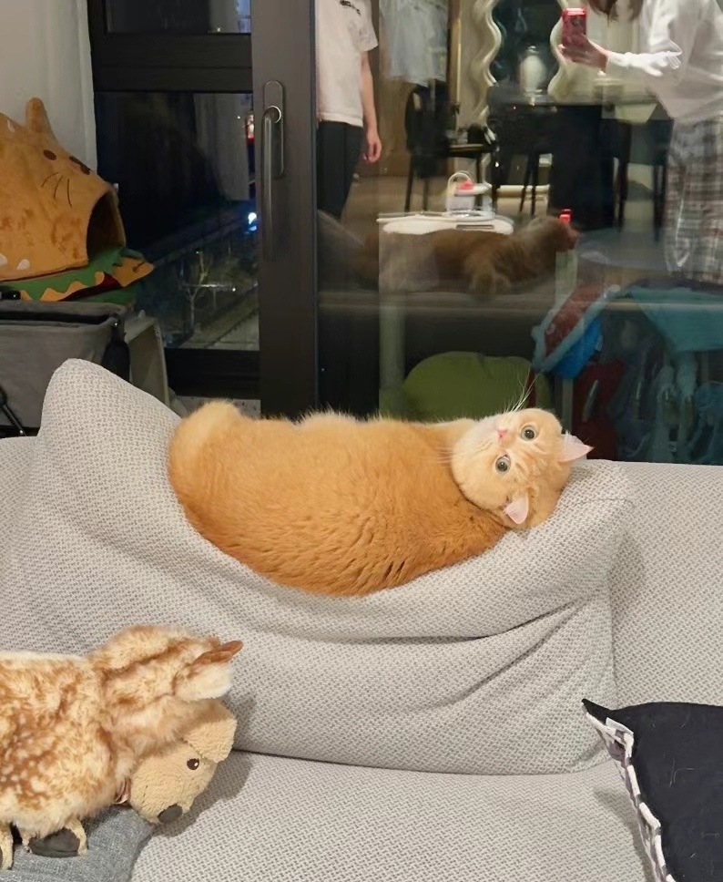 奴才：嘻嘻～我偏不讓你如願