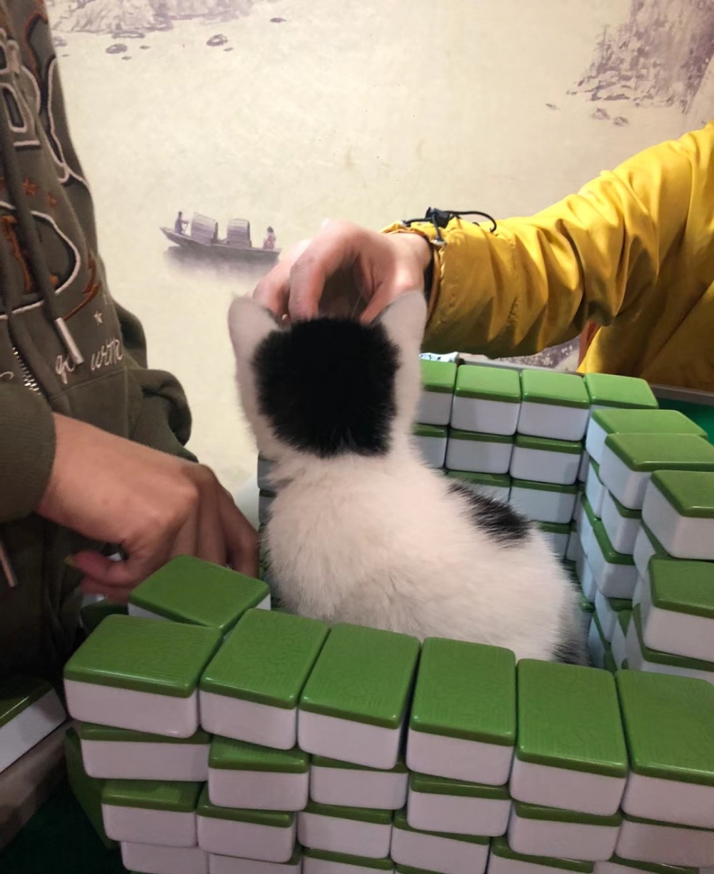 奴才:你現在出不去囉