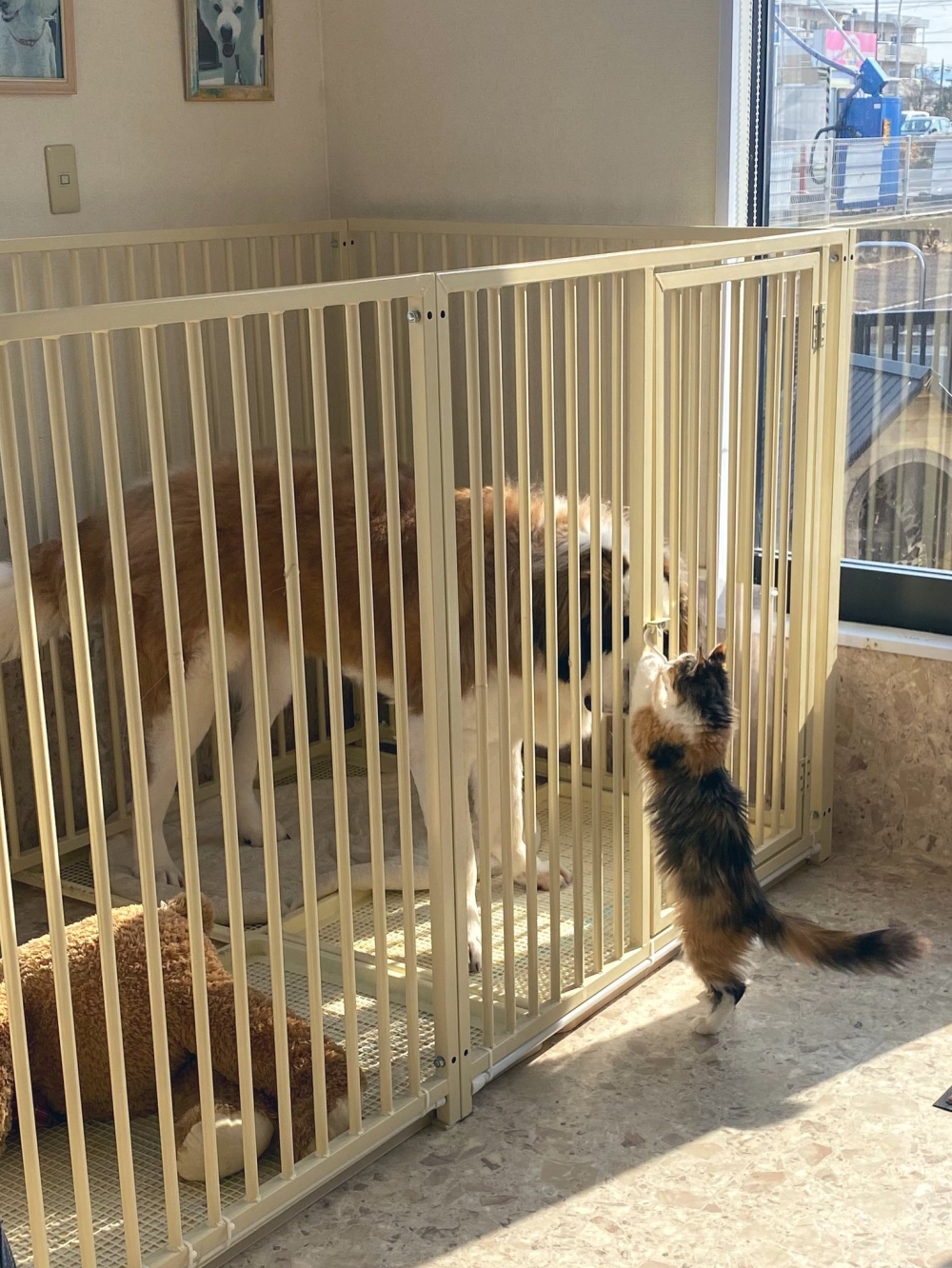 汪：那就別為難自己了吧