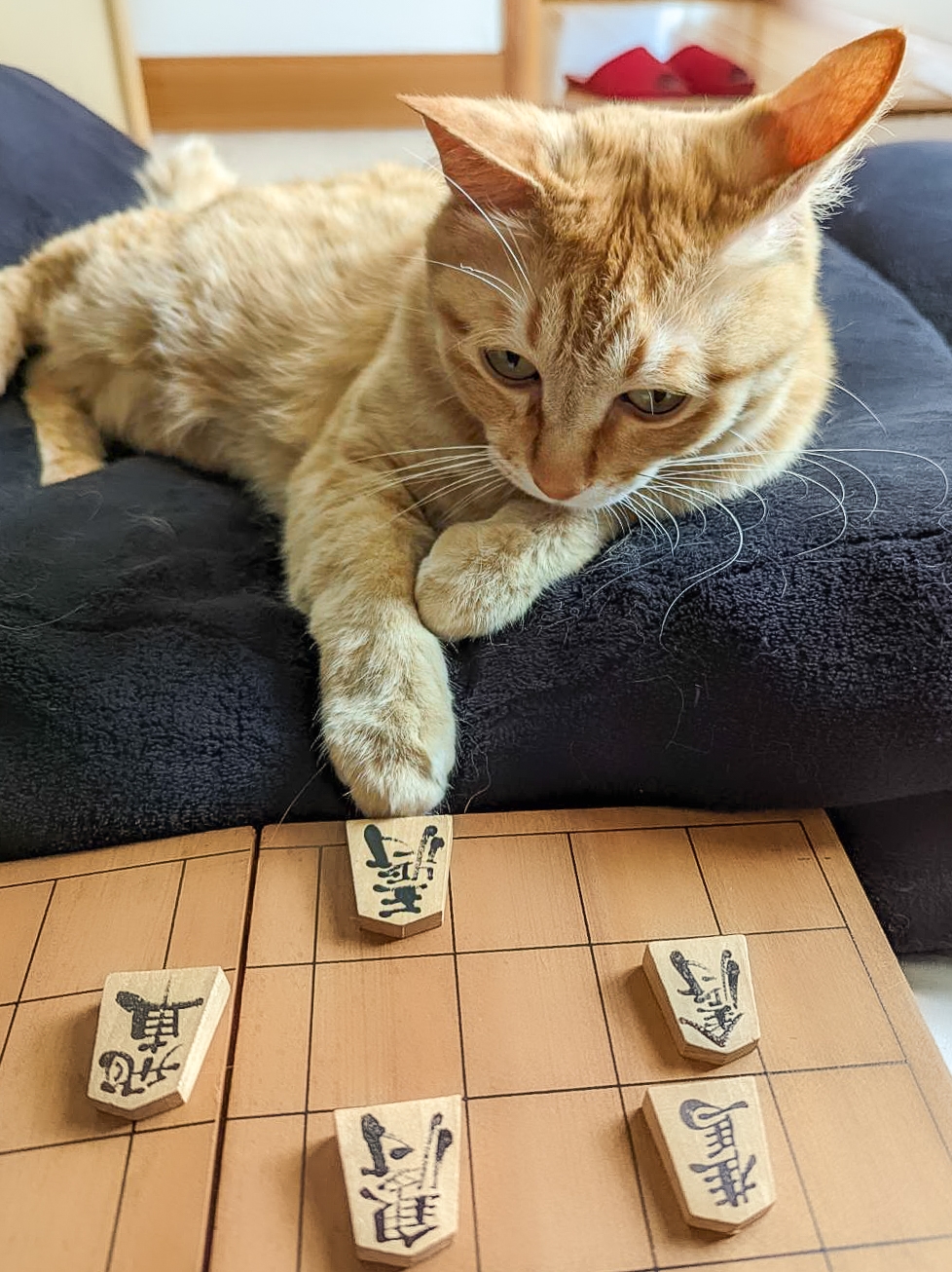 奴才：看樣子好像很厲害欸