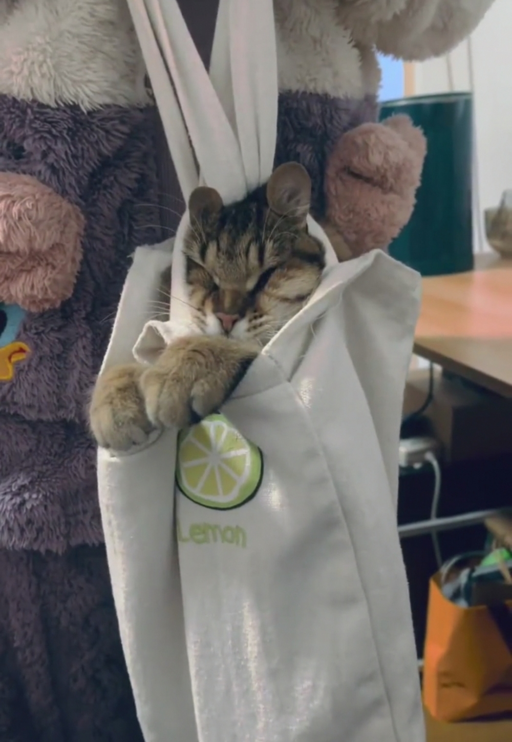 奴才：看你這樣玩耍真的好快樂啊～