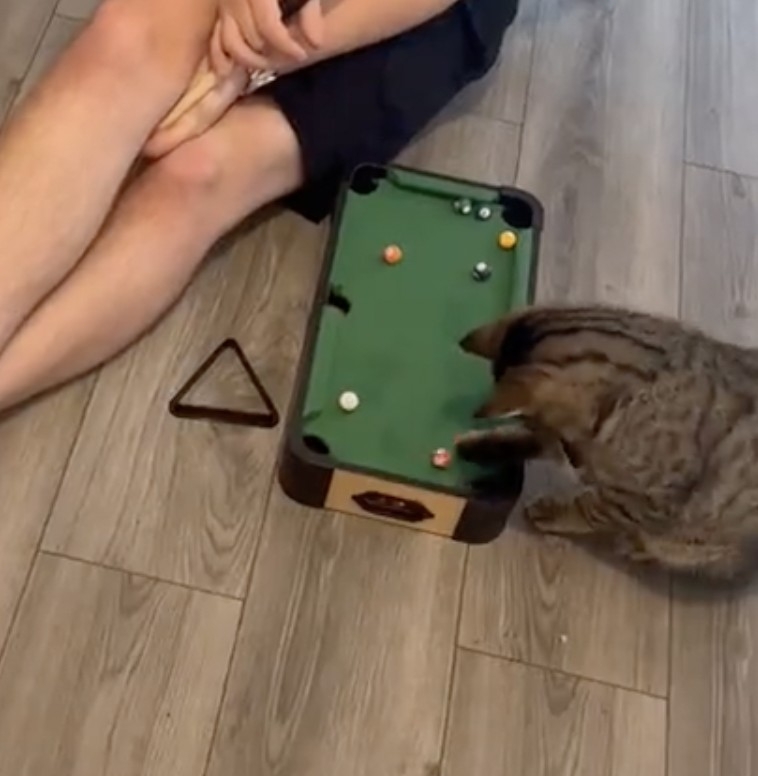 奴才：額！怪我沒說清楚囉