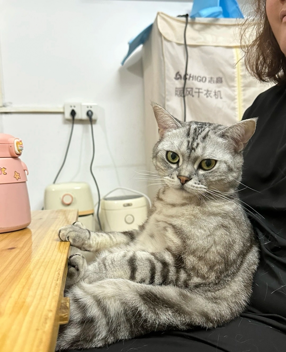 奴才：你還挺會為自己考慮啊！