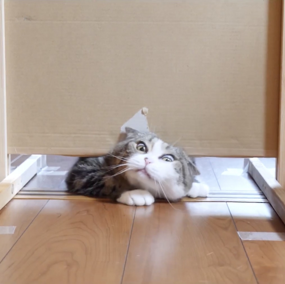 奴才：算了吧～挑戰失敗！