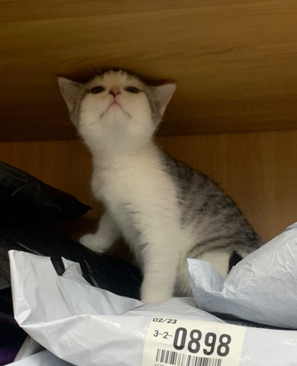 奴才：額～這裡不能玩啦