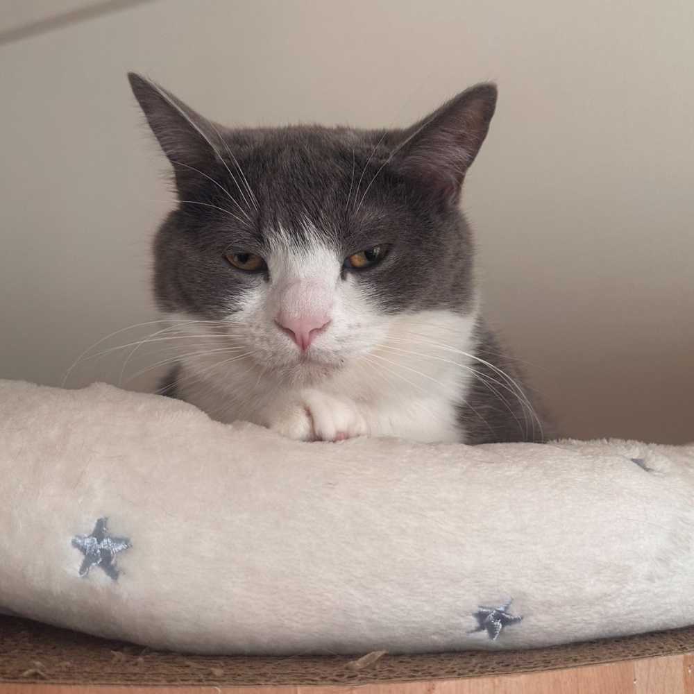 奴才：這感覺好像挺不錯的欸～