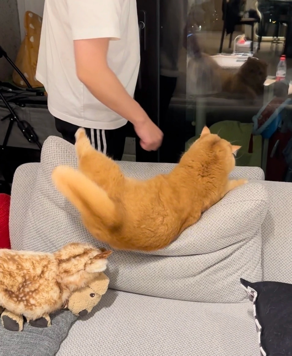 奴才：別怪我，是你自己沒坐穩喔～