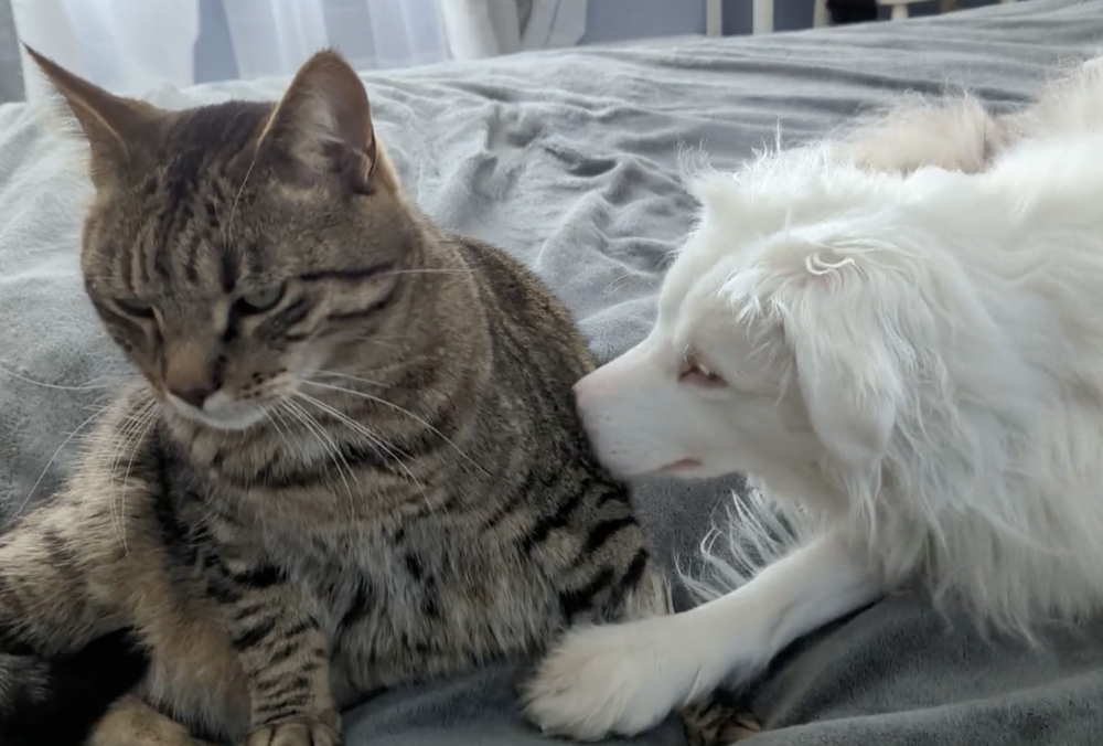 汪：別這樣，剛剛我是去聽八卦了