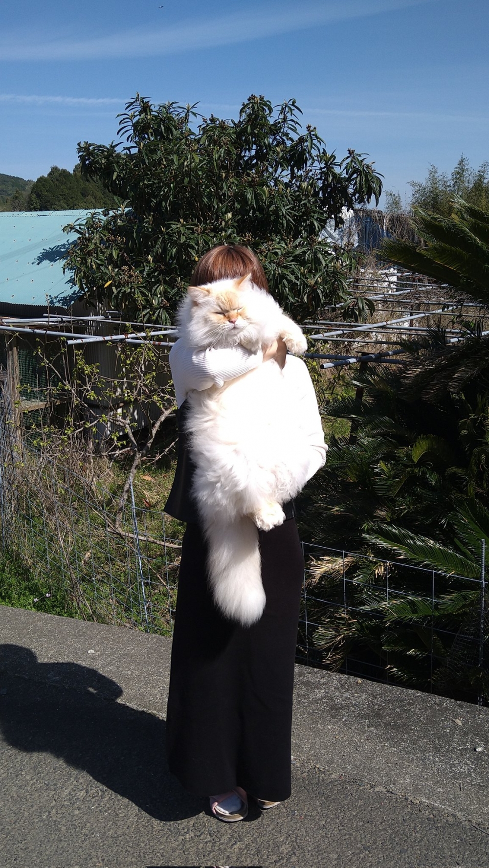 奴才:我不是怪你啦